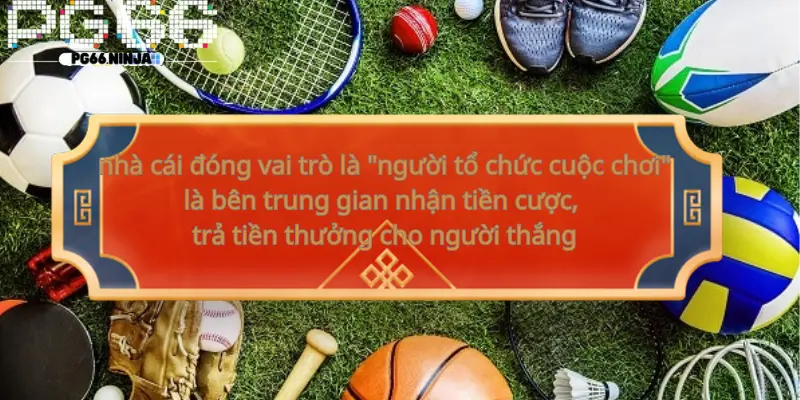 zwq.uk.com__Nhà cái cá cược là gì