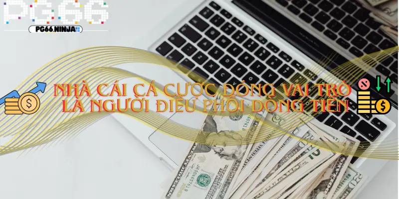 zwq.uk.com__Vai trò thực sự của nhà cái cá cược